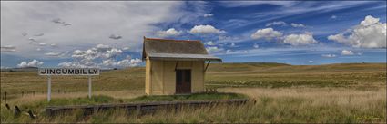 Jincumbilly Railway Siding - NSW (PBH4 00 10924)